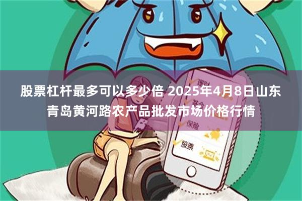 股票杠杆最多可以多少倍 2025年4月8日山东青岛黄河路农产品批发市场价格行情