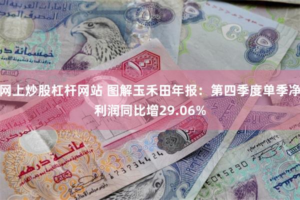 网上炒股杠杆网站 图解玉禾田年报：第四季度单季净利润同比增29.06%