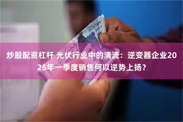 炒股配资杠杆 光伏行业中的清流：逆变器企业2025年一季度销售何以逆势上扬？