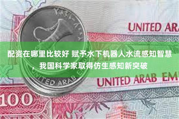 配资在哪里比较好 赋予水下机器人水流感知智慧，我国科学家取得仿生感知新突破