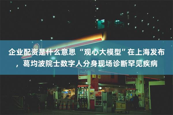 企业配资是什么意思 “观心大模型”在上海发布，葛均波院士数字人分身现场诊断罕见疾病