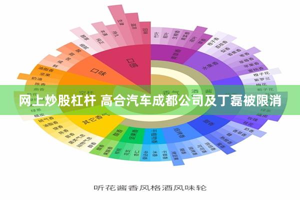 网上炒股杠杆 高合汽车成都公司及丁磊被限消