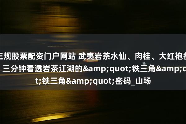 正规股票配资门户网站 武夷岩茶水仙、肉桂、大红袍各自特点是什么？三分钟看透岩茶江湖的&quot;铁三角&quot;密码_山场