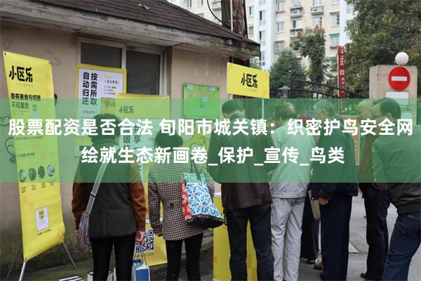 股票配资是否合法 旬阳市城关镇：织密护鸟安全网 绘就生态新画卷_保护_宣传_鸟类