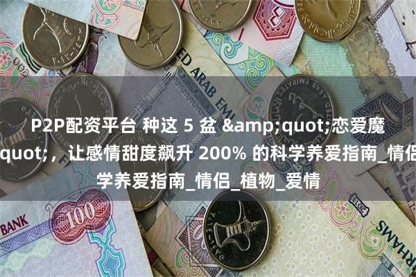 P2P配资平台 种这 5 盆 &quot;恋爱魔法花&quot;，让感情甜度飙升 200% 的科学养爱指南_情侣_植物_爱情